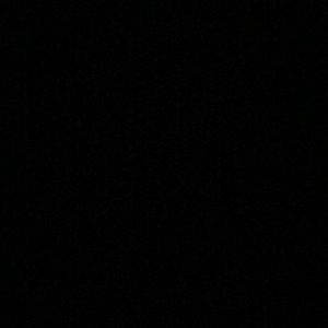 Meet your Posher, Lily